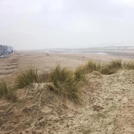 아파트 In St-idesbald Near The Beach, Cleaning Included 코크시데