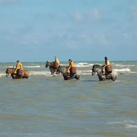 In For 5 Person, Cleaning Included * Koksijde