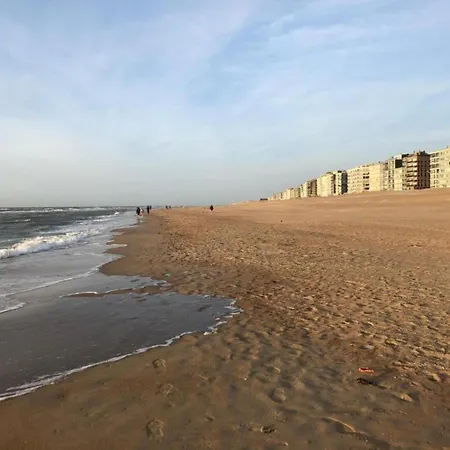 아파트 In St-idesbald Near The Beach, Cleaning Included