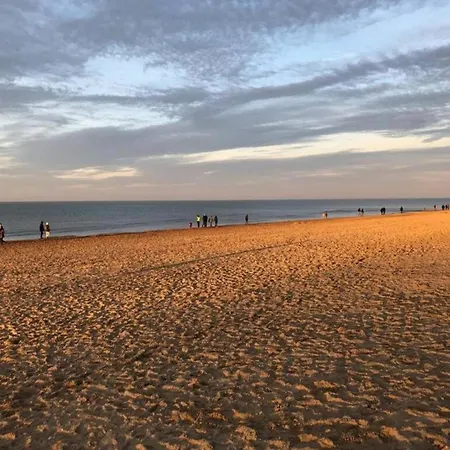 In St-idesbald Near The Beach, Cleaning Included 코크시데