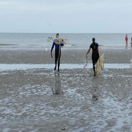 In St-idesbald Near The Beach, Cleaning Included